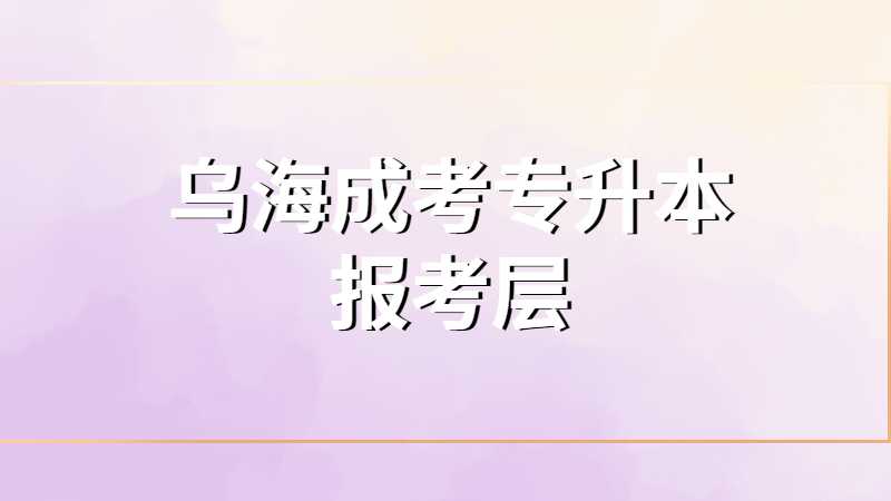 乌海成考专升本报考层次是什么？