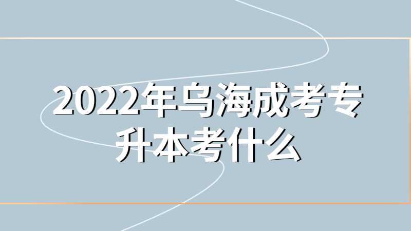 2022年乌海成考专升本考什么?